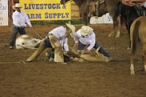 2014 New Mexico Championship Ranch Rodeo Results Action