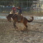 2014 Panhandle Cowboy Classic Ranch Rodeo - WRCA