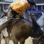 Is that a grin or a grimace on Jeremiah Campbell’s face? He rode for Davison and Sons Cattle Co.,
