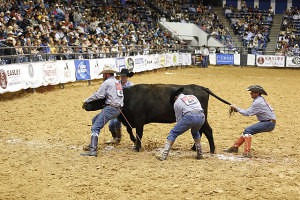 The Lonesome Pine Ranch team from Cedar Point, Kansas, puts a stop on their cow, ending up with a time of :39.58 Thursday night.