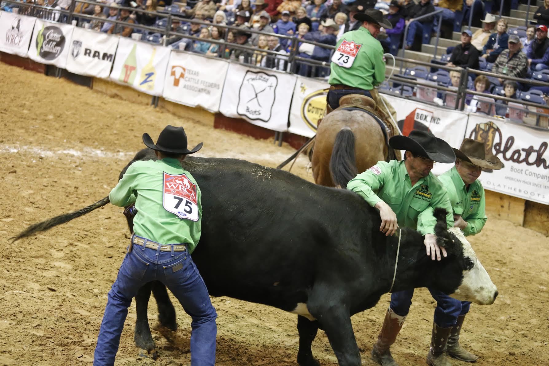 travis county livestock show and rodeo 2015