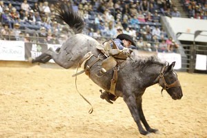 No, the whistle hadn’t blown yet ... but Chaz Brewer of the Barron-Highsmith Cattle & Short Ranch team stayed on for the full 8 seconds. He received a score of 74. Broncs this year are being provided again by the esteemed Harry Vold Rodeo Co.