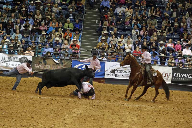 There is a reason they call it “wild” cow milking! Colton Miller took a hit for the Silver Spur-Headquarter Division team, while Sable Fever (by Playboys Buck Fever) and his two-legged teammates try to get things under control. They ended with a time of 54.61 seconds.