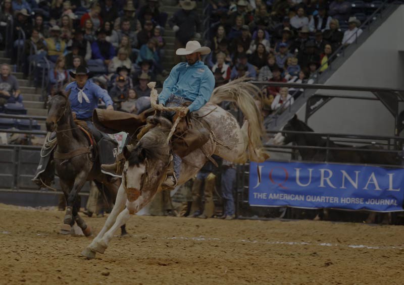 WRCA World Championship Ranch Rodeo