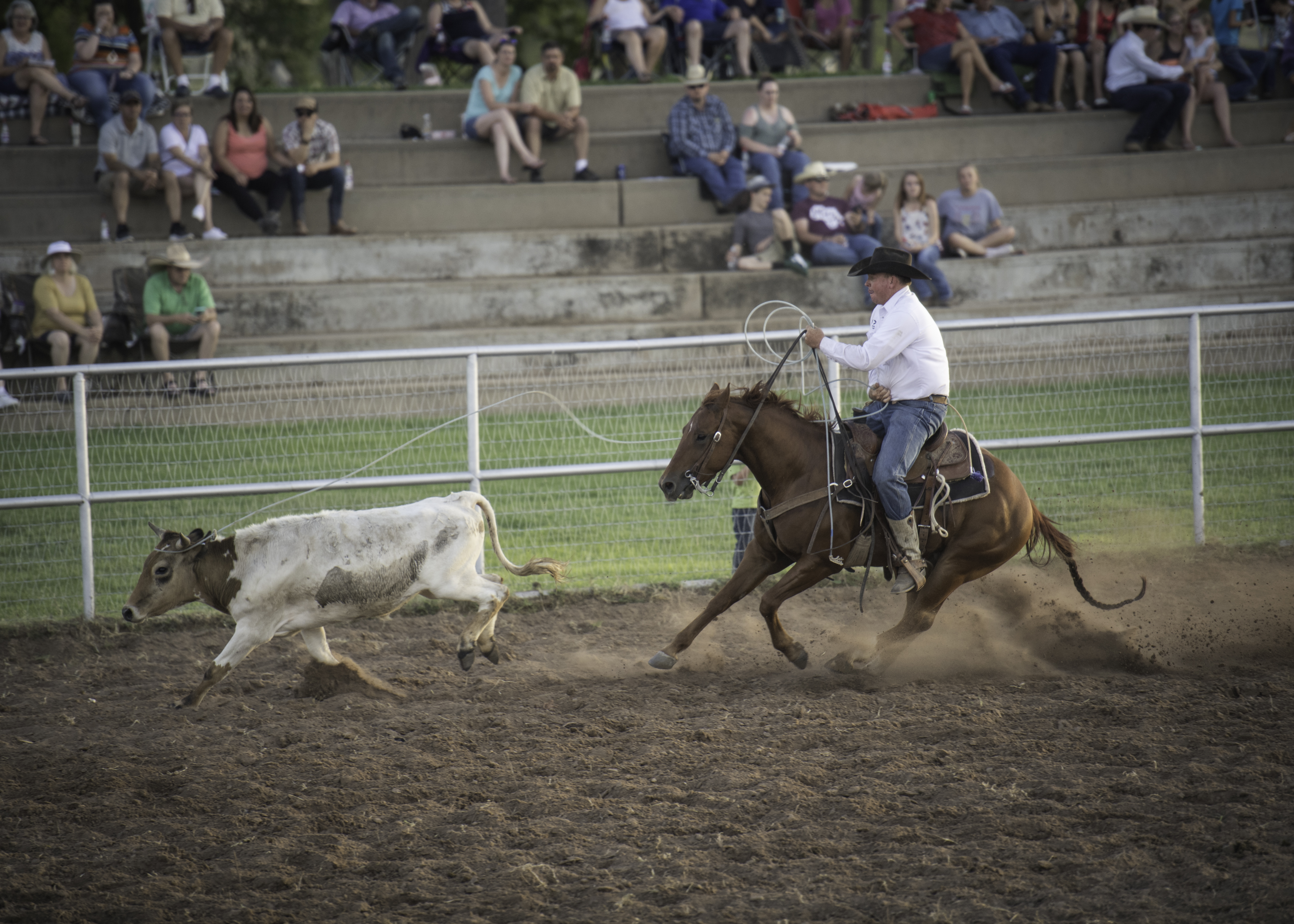2017 XIT Ranch Rodeo Stray Gathering Rider
