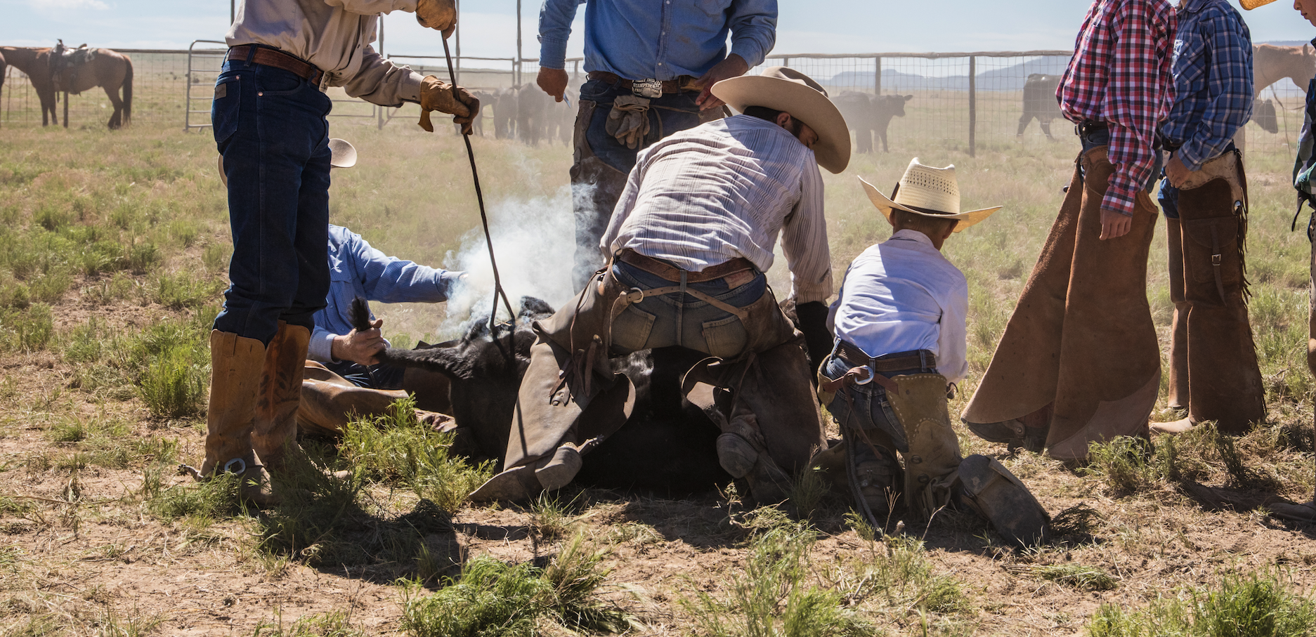 King Ranch Running W Branding Iron