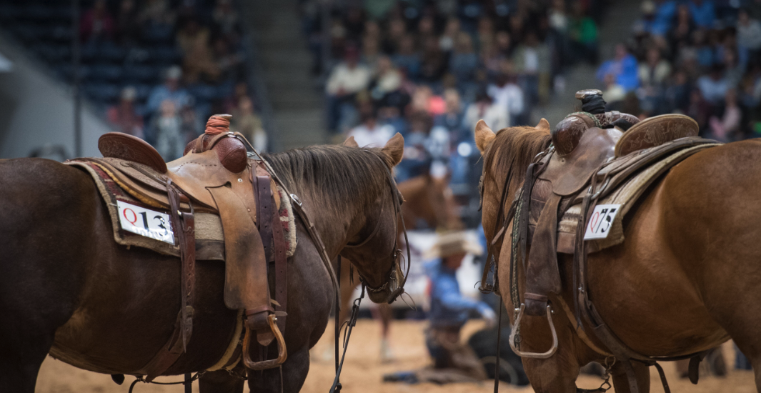 WRCA World Championship Ranch Rodeo