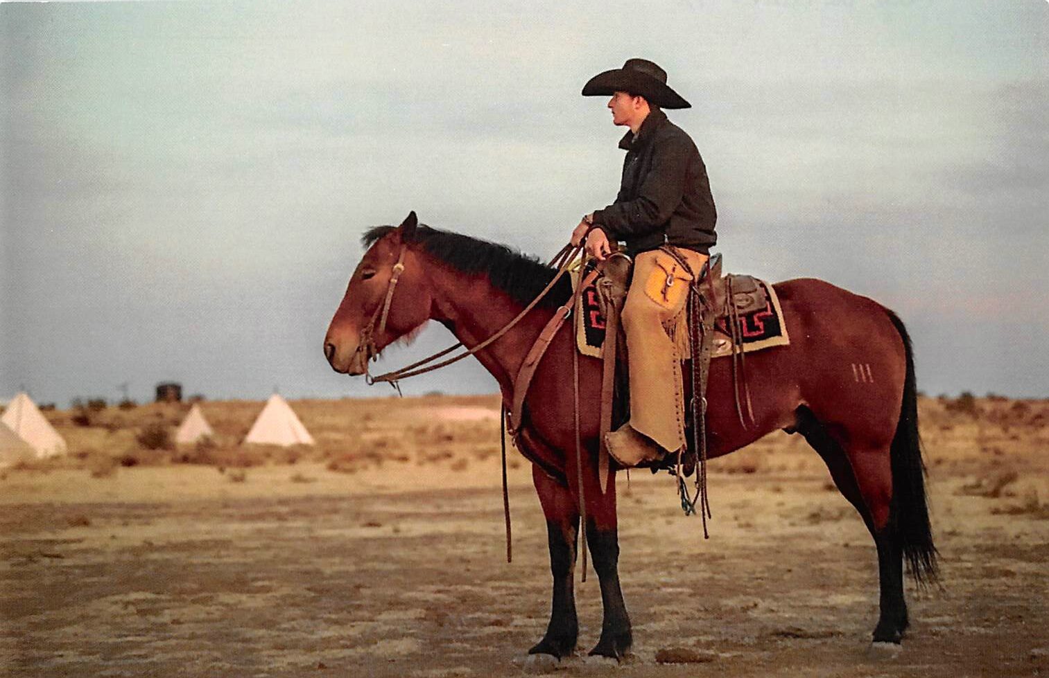 Wyoming Cowboys Bucking Horse Scholarship Hat - Brown