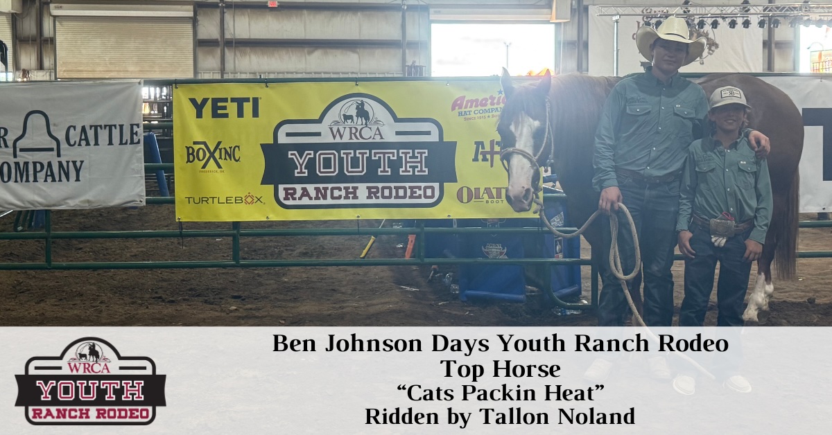 Youth - Top Horse - 1