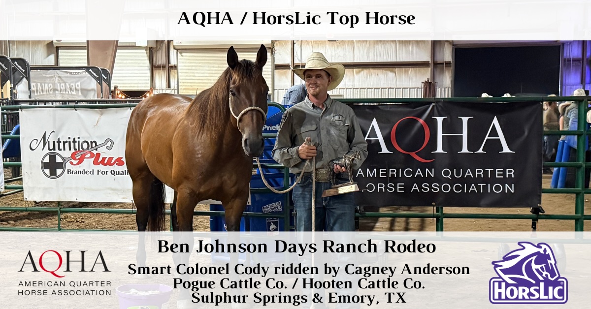 Featured - Top Horse - 1