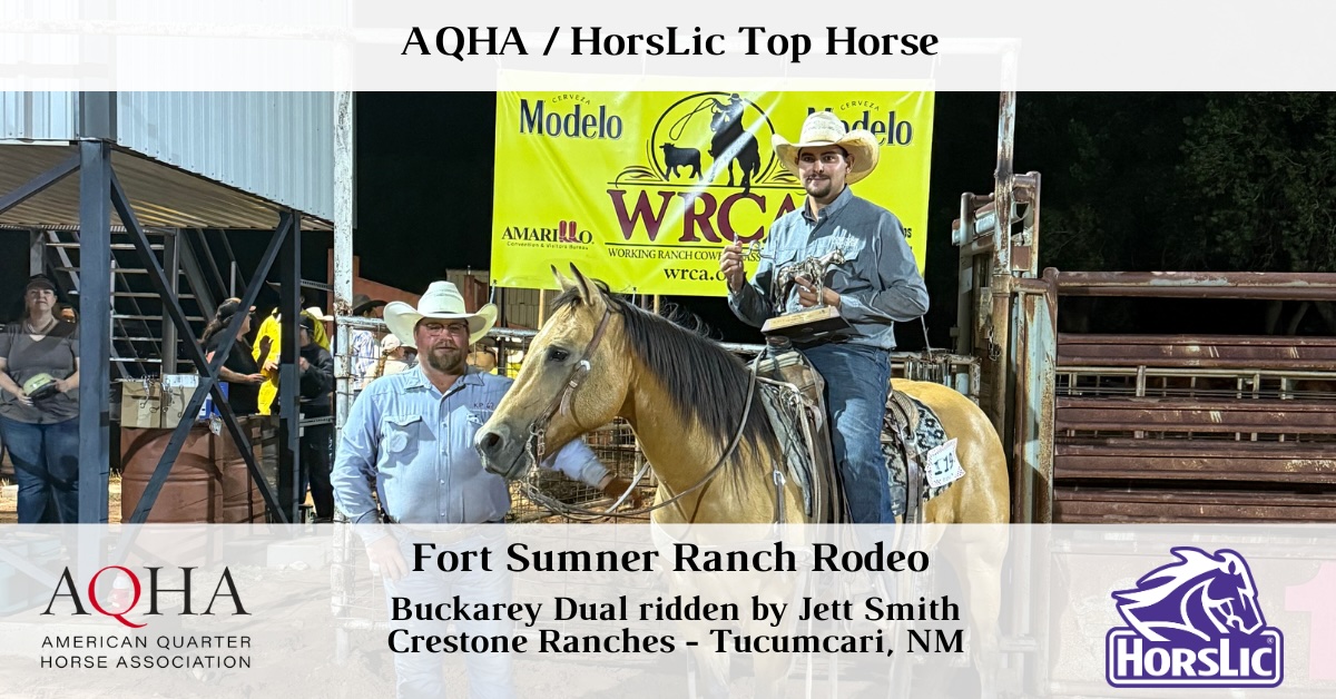 Featured - Top Horse - 1