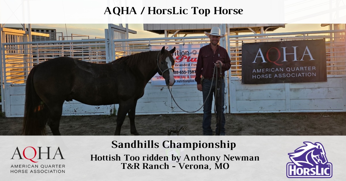 Featured - Top Horse - 1