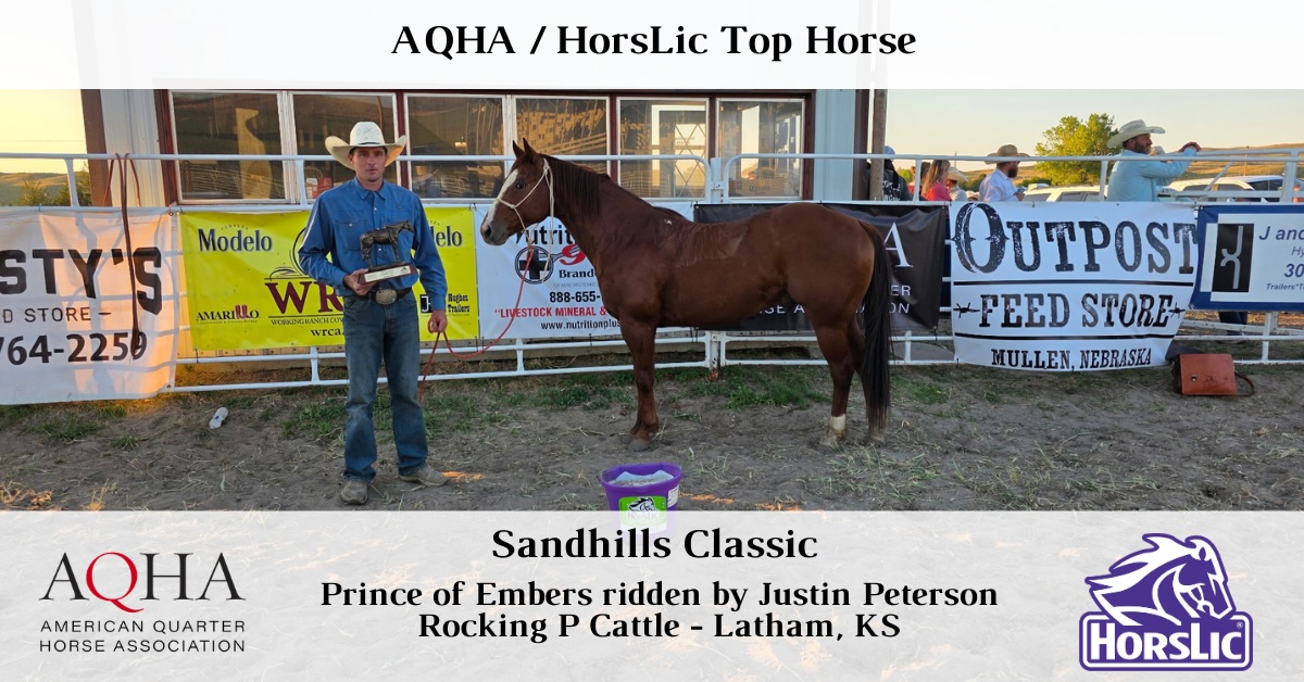 Featured - Top Horse - 1