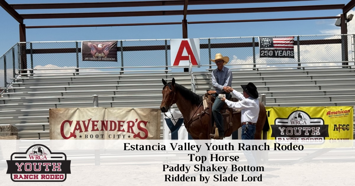 Youth - Top Horse - 1