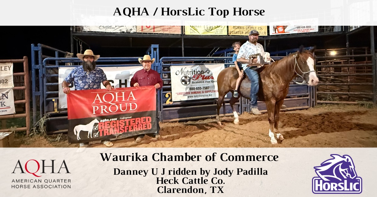 Featured - Top Horse - 1