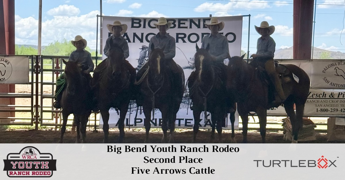 Youth - Team Placings - 2