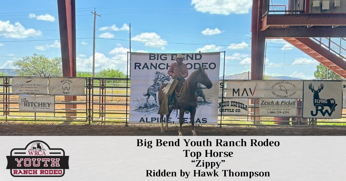 Youth - Top Horse - 1