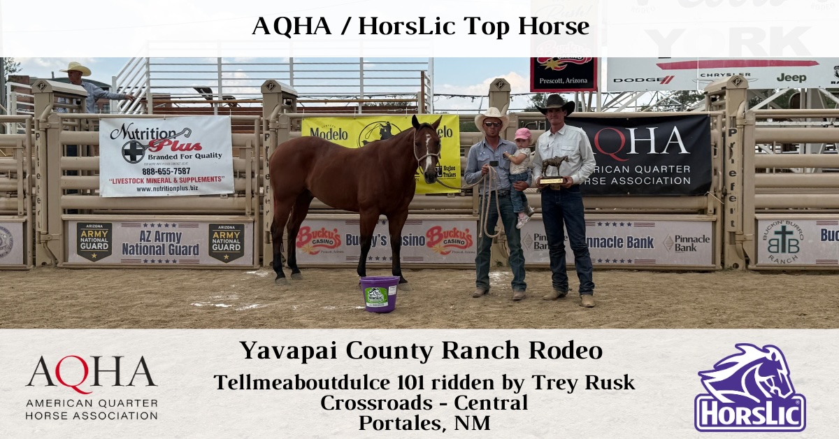 Featured - Top Horse - 1