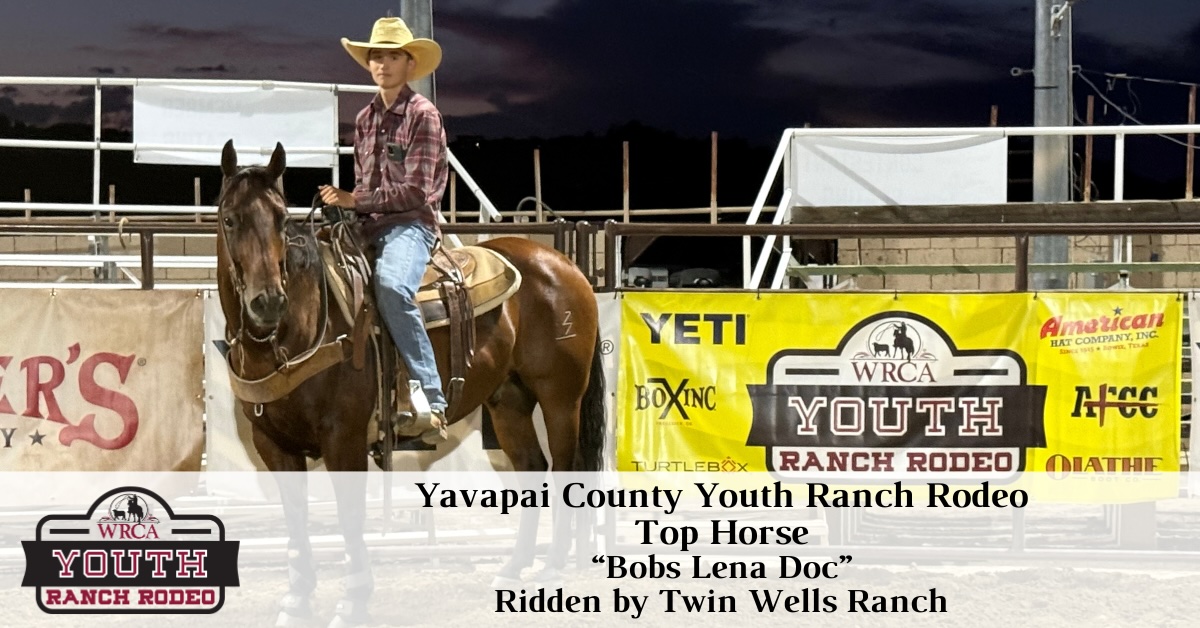 Youth - Top Horse - 1