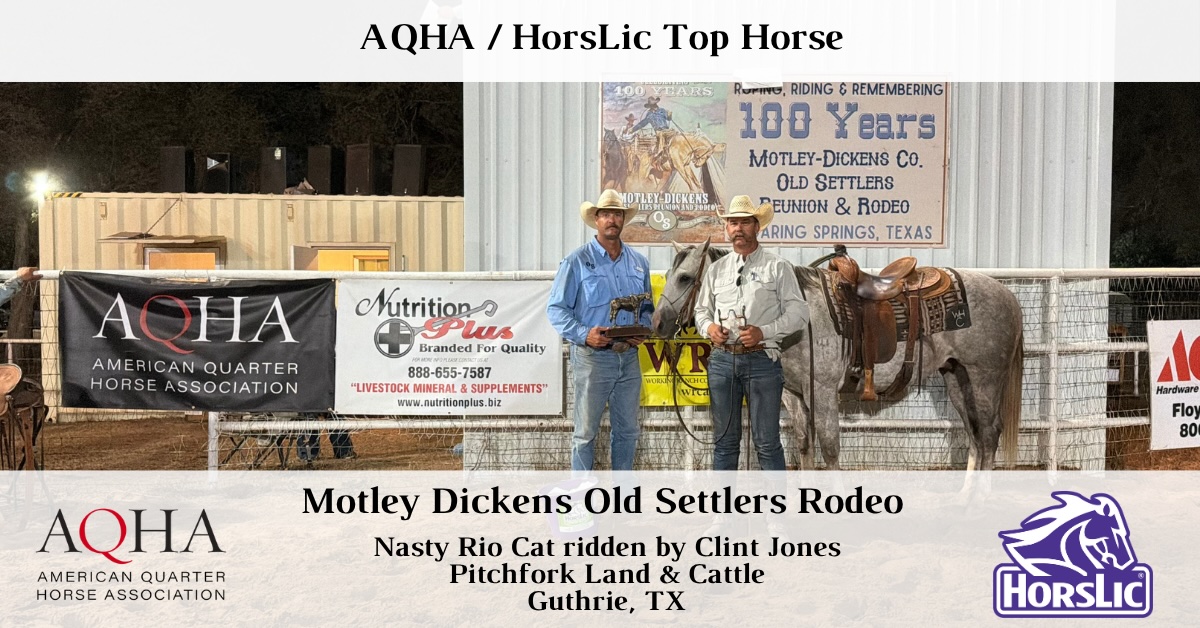 Featured - Top Horse - 1